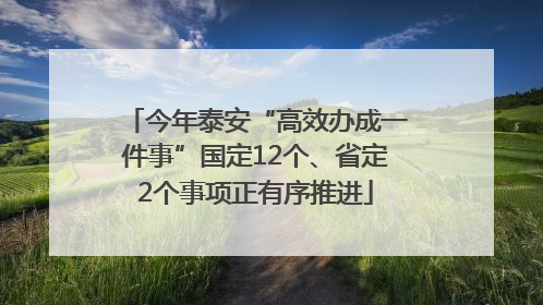 今年泰安“高效办成一件事”国定12个、省定2个事项正有序推进