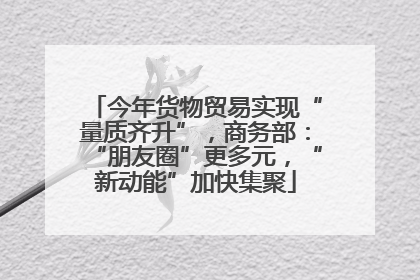 今年货物贸易实现“量质齐升”，商务部：“朋友圈”更多元，“新动能”加快集聚