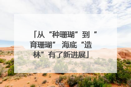 从“种珊瑚”到“育珊瑚” 海底“造林”有了新进展