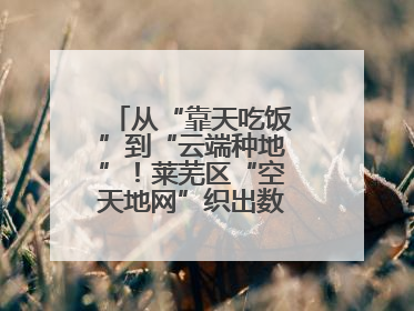 从“靠天吃饭”到“云端种地”！莱芜区“空天地网”织出数字农业新图景