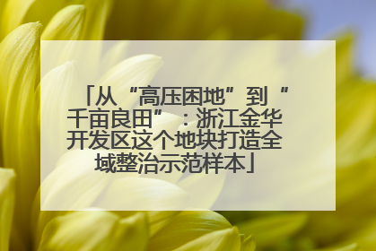 从“高压困地”到“千亩良田”：浙江金华开发区这个地块打造全域整治示范样本