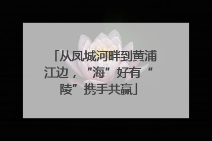 从凤城河畔到黄浦江边，“海”好有“陵”携手共赢