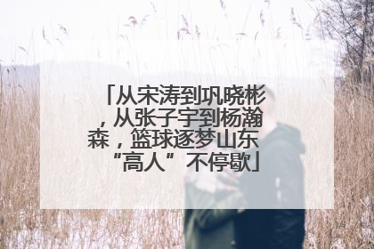 从宋涛到巩晓彬，从张子宇到杨瀚森，篮球逐梦山东“高人”不停歇