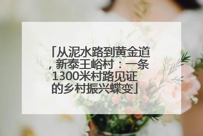 从泥水路到黄金道，新泰王峪村：一条1300米村路见证的乡村振兴蝶变