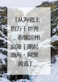 从海瓷上的万千世界，看懂滨州浪漫｜潮起渤海・网聚黄蓝