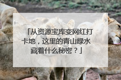 从资源宝库变网红打卡地，这里的青山绿水藏着什么秘密？