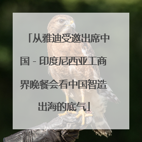 从雅迪受邀出席中国－印度尼西亚工商界晚餐会看中国智造出海的底气