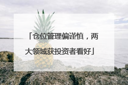 仓位管理偏谨慎，两大领域获投资者看好