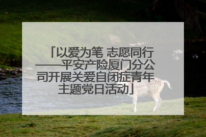 以爱为笔 志愿同行——平安产险厦门分公司开展关爱自闭症青年主题党日活动