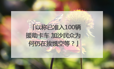 以称已准入100辆援助卡车 加沙民众为何仍在挨饿空等？