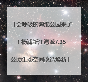 会呼吸的海绵公园来了！杨浦新江湾城7.35公顷生态空间改造焕新