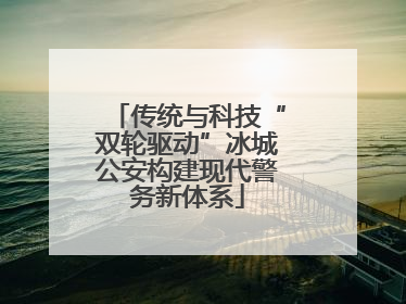 传统与科技“双轮驱动”冰城公安构建现代警务新体系
