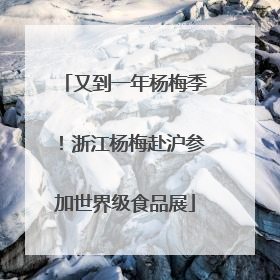 又到一年杨梅季！浙江杨梅赴沪参加世界级食品展