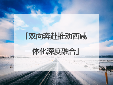 双向奔赴推动西咸一体化深度融合