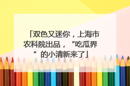 双色又迷你，上海市农科院出品，“吃瓜界”的小清新来了