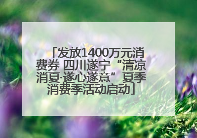 发放1400万元消费券 四川遂宁“清凉消夏·遂心遂意”夏季消费季活动启动