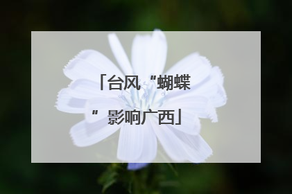 台风“蝴蝶”影响广西