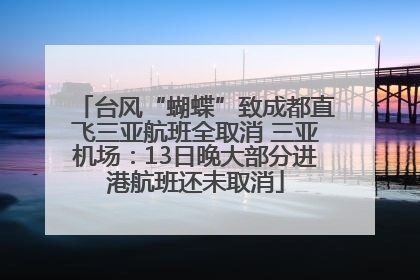 台风“蝴蝶”致成都直飞三亚航班全取消 三亚机场：13日晚大部分进港航班还未取消