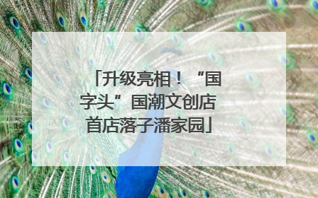 升级亮相！“国字头”国潮文创店首店落子潘家园