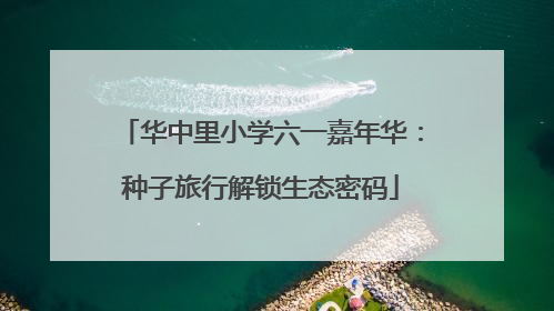 华中里小学六一嘉年华：种子旅行解锁生态密码