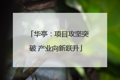 华亭：项目攻坚突破 产业向新跃升