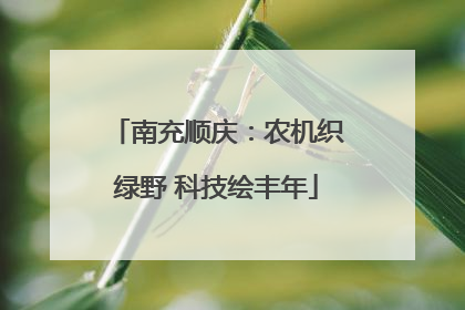 南充顺庆：农机织绿野 科技绘丰年