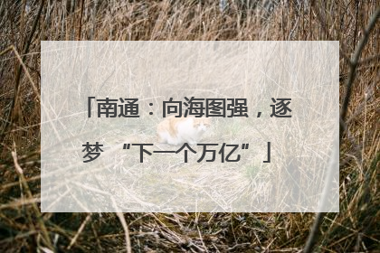 南通：向海图强，逐梦 “下一个万亿”
