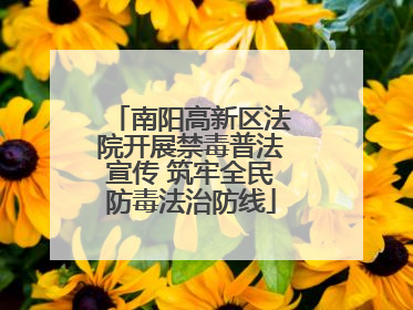 南阳高新区法院开展禁毒普法宣传 筑牢全民防毒法治防线