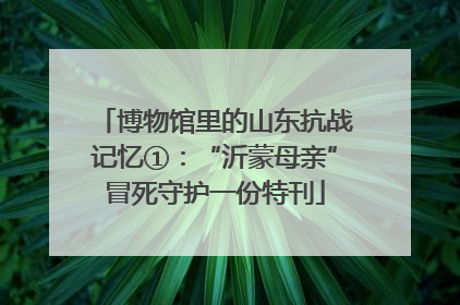 博物馆里的山东抗战记忆①：“沂蒙母亲”冒死守护一份特刊