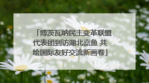 博茨瓦纳民主变革联盟代表团到访湖北嘉鱼 共绘国际友好交流新画卷