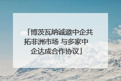 博茨瓦纳诚邀中企共拓非洲市场 与多家中企达成合作协议