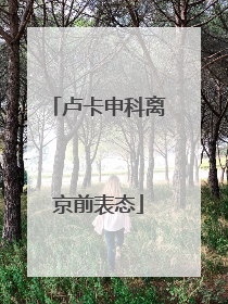 卢卡申科离京前表态