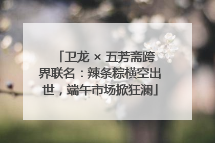 卫龙 × 五芳斋跨界联名：辣条粽横空出世，端午市场掀狂澜