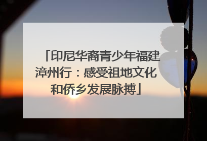 印尼华裔青少年福建漳州行：感受祖地文化和侨乡发展脉搏