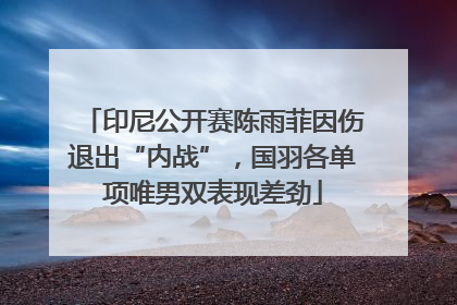 印尼公开赛陈雨菲因伤退出“内战”，国羽各单项唯男双表现差劲