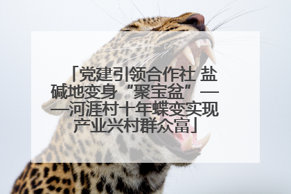 党建引领合作社 盐碱地变身“聚宝盆”——河涯村十年蝶变实现产业兴村群众富