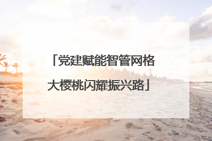 党建赋能智管网格 大樱桃闪耀振兴路