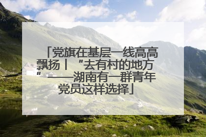 党旗在基层一线高高飘扬丨“去有村的地方”——湖南有一群青年党员这样选择