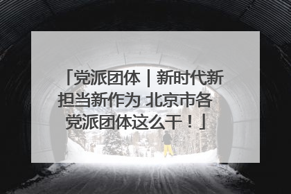 党派团体｜新时代新担当新作为 北京市各党派团体这么干！