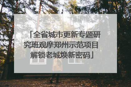 全省城市更新专题研究班观摩郑州示范项目 解锁老城焕新密码