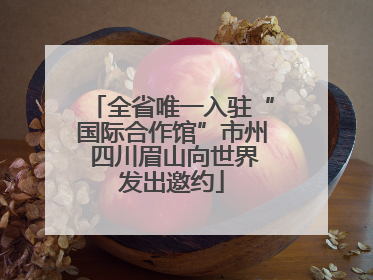 全省唯一入驻“国际合作馆”市州 四川眉山向世界发出邀约