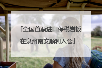 全国首票进口保税岩板在泉州南安顺利入仓