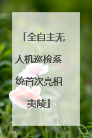 全自主无人机巡检系统首次亮相夷陵