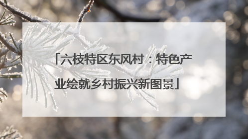 六枝特区东风村：特色产业绘就乡村振兴新图景