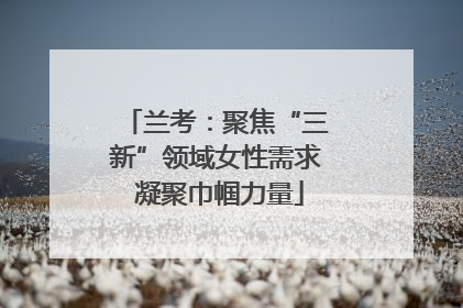 兰考：聚焦“三新”领域女性需求 凝聚巾帼力量