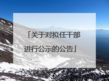 关于对拟任干部进行公示的公告