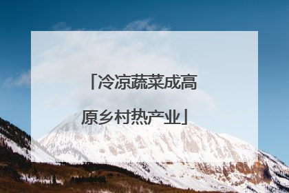 冷凉蔬菜成高原乡村热产业