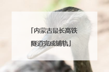 内蒙古最长高铁隧道完成铺轨