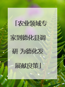 农业领域专家到德化县调研 为德化发展献良策