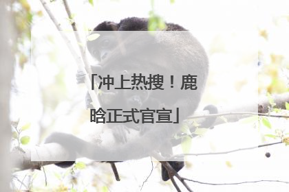 冲上热搜！鹿晗正式官宣